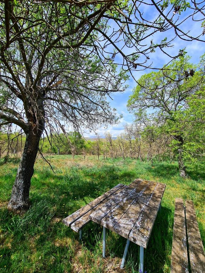 Вілла Acogedora Y Romantica Casita En La Sierra Garganta De Los Montes Екстер'єр фото