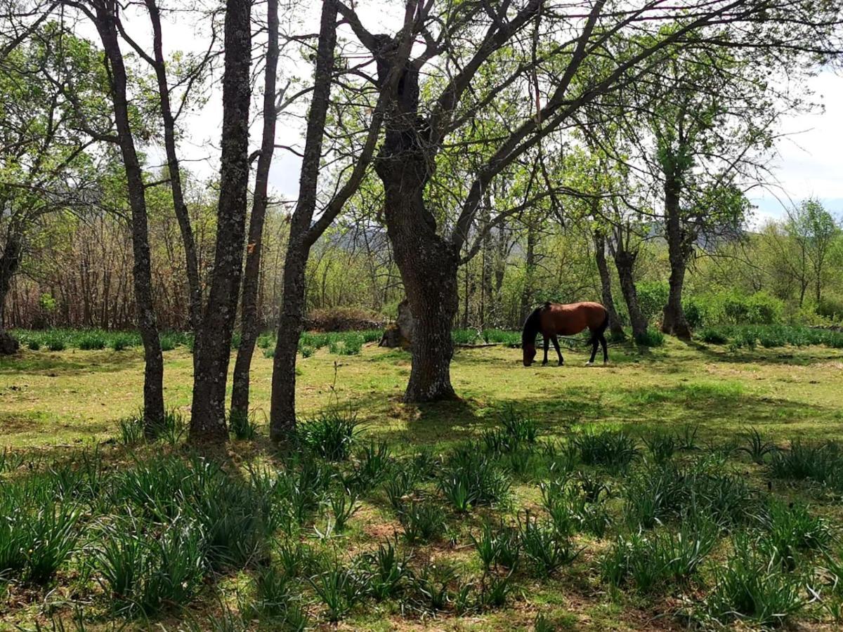 Acogedora Y Romantica Casita En La Sierra Garganta De Los Montes Екстер'єр фото